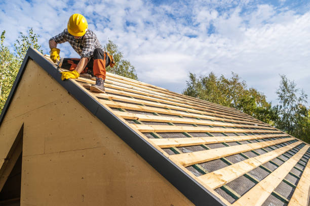 Best Metal Roofing Contractor  in Fortuna Foothills, AZ