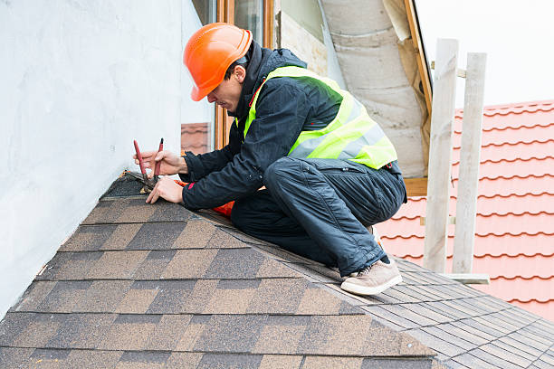 Best Roof Maintenance Services  in Fortuna Foothills, AZ